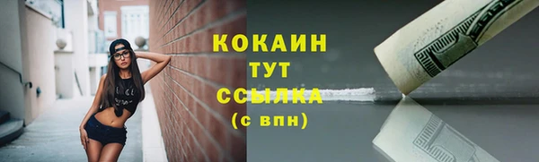 спиды Аркадак