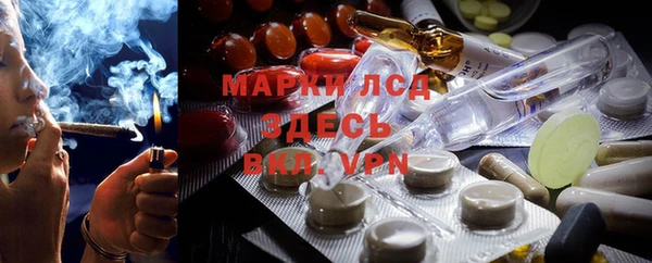 спиды Аркадак