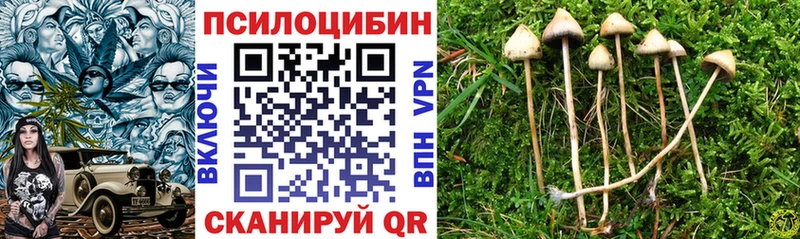 Галлюциногенные грибы ЛСД  Новохопёрск 