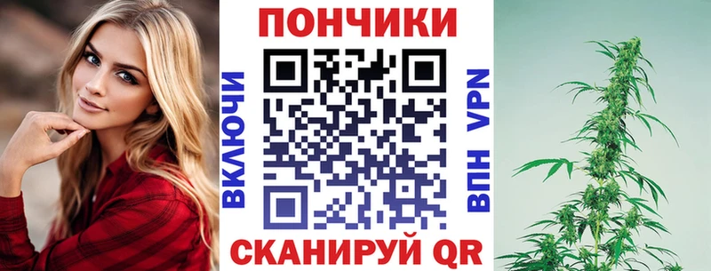 Шишки марихуана Amnesia  маркетплейс какой сайт  Новохопёрск  сколько стоит 